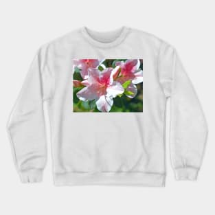 Encore Azalea Flowers Crewneck Sweatshirt